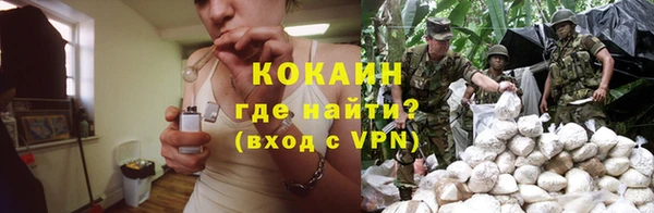 эйфоретик Аркадак