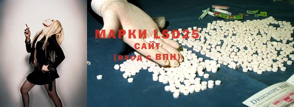 эйфоретик Аркадак